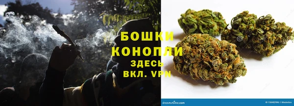 шишки Хадыженск