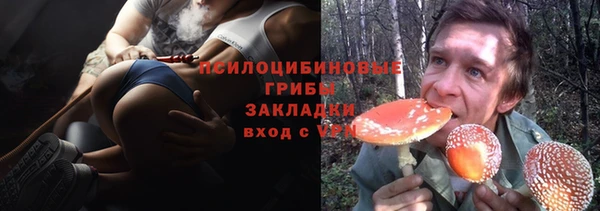 твердый Нязепетровск