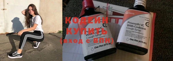 apvp Няндома
