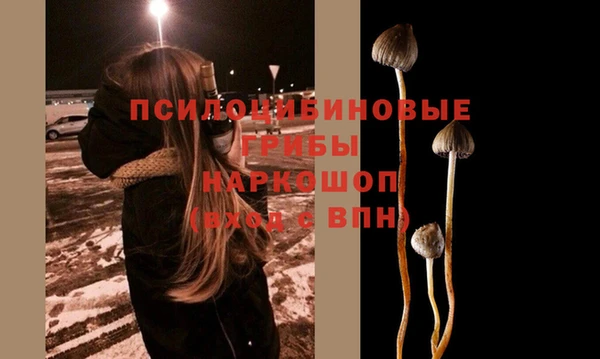 apvp Няндома