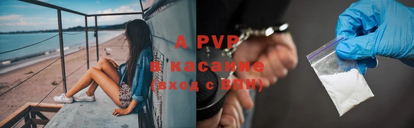 apvp Няндома