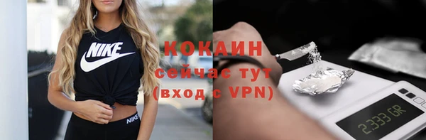apvp Няндома