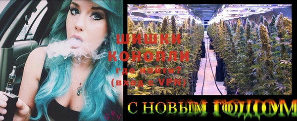 apvp Няндома