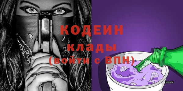 apvp Няндома