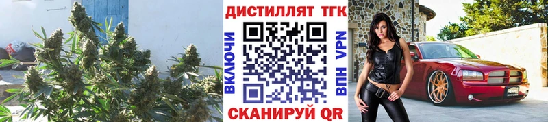 кракен tor  Ишим  Дистиллят ТГК THC oil 