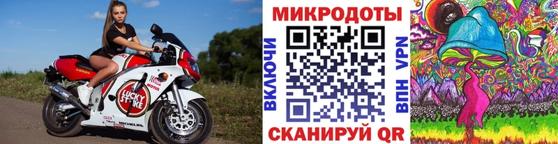 Псилоцибиновые грибы мухоморы  дарк нет какой сайт  Ишим 