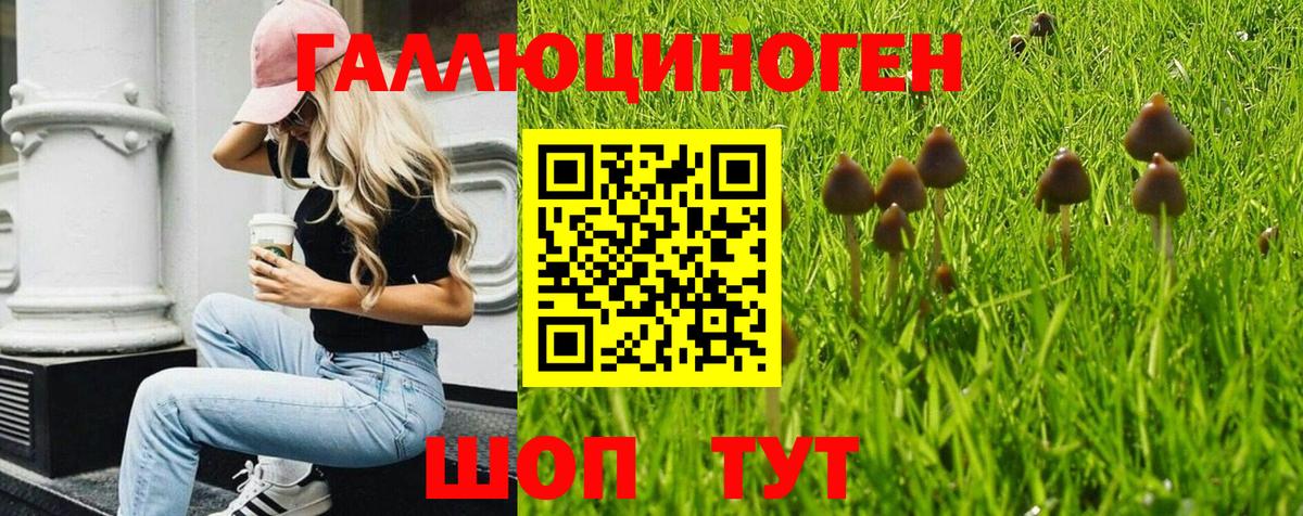 Псилоцибиновые грибы мицелий  Псилоцибиновые грибы Magic Shrooms  Ишим 