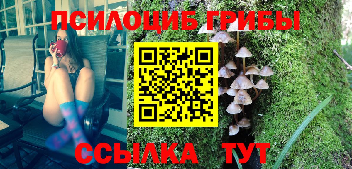 Галлюциногенные грибы GOLDEN TEACHER Ишим