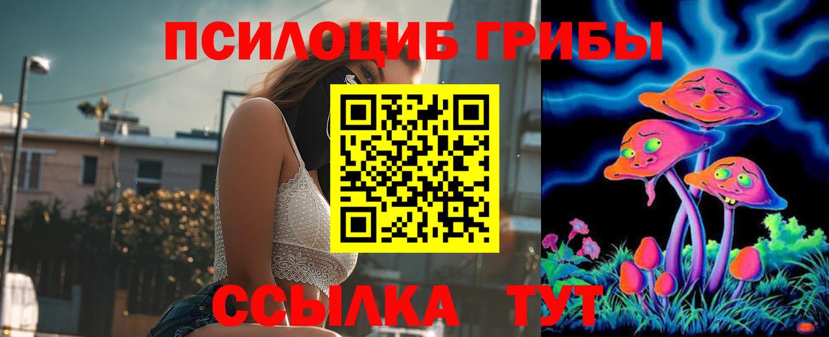 Псилоцибиновые грибы мухоморы  Псилоцибиновые грибы Psilocybine cubensis  Ишим  Вход с VPN 